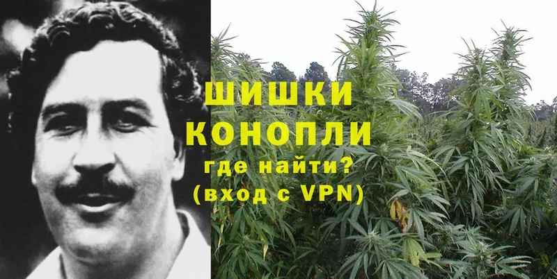 купить наркотики сайты  Княгинино  мега вход  Бошки Шишки LSD WEED 